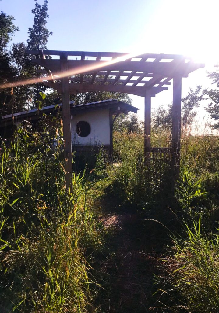 The timber arbour and the path through the grass to the sauna