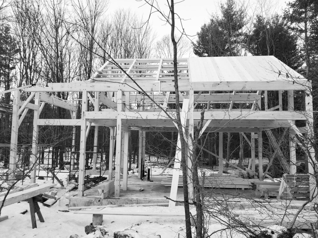 The frame raised and standing in the winter woods