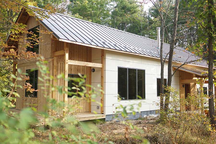 The house through the trees, standing seam roof above white walls