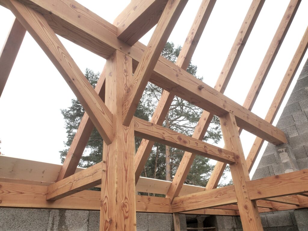 Looking up through the raised frame to the pines beyond